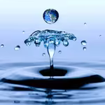 Life Begins With Water