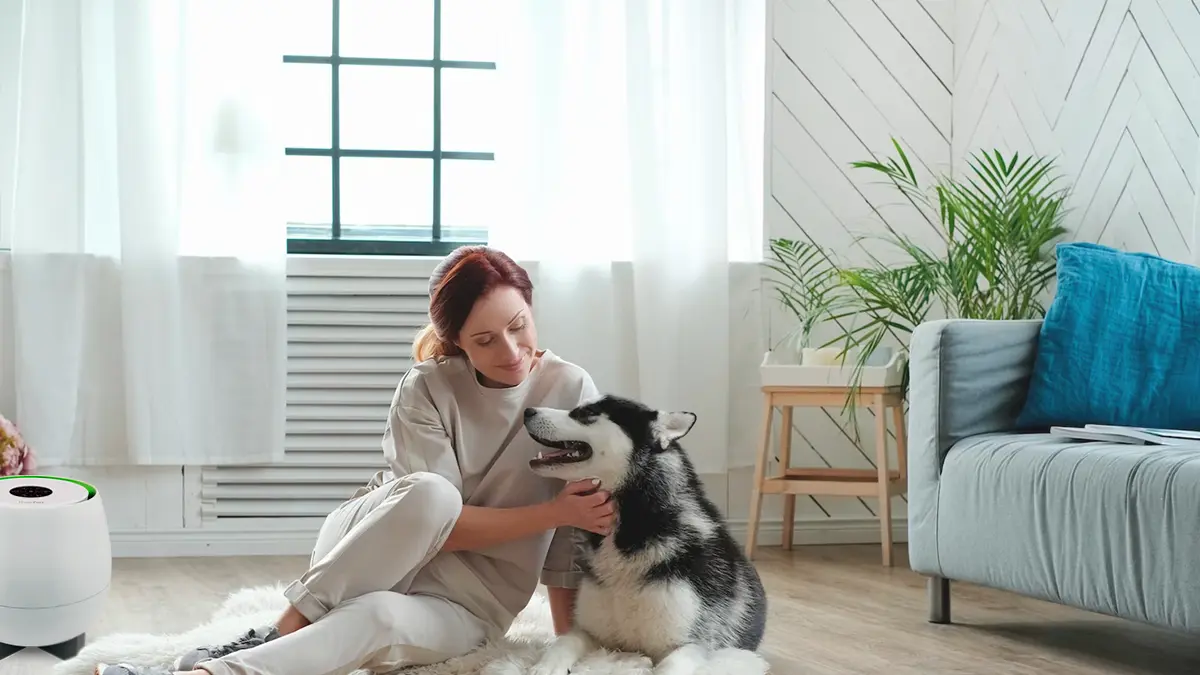 Want To Breathe Better? How Air Purifiers Help Clean Your Home And Safeguard Your Respiratory Health 2 Woman with pet husky, HomePure Zayn