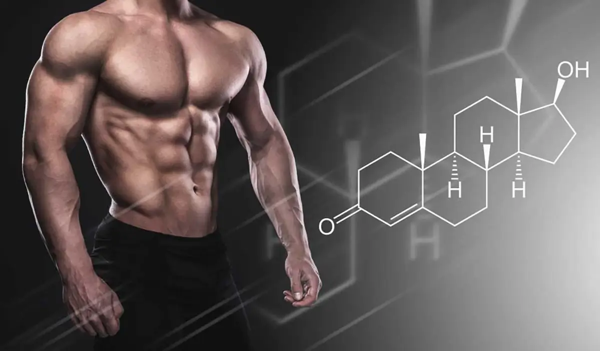Testosterone: The King Of Hormones 3 QNET