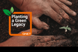 Planting A Green Legacy With QNET And Ecomatcher