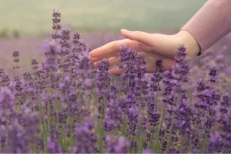 how-to-show-kindness-in-business-qnet-tips