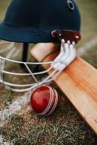 Go For 6! What Entrepreneurs Can Learn From The T20 World Cup 2 Cricket equipment on field with ball bat and helmet