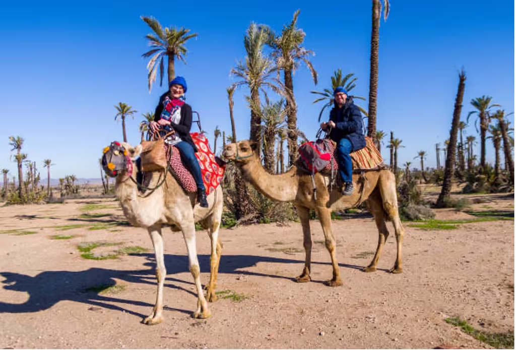 Marrakesh Travel Guide: Why Marrakesh Is A Highly Desirable Destination For Holidays 8 QNET