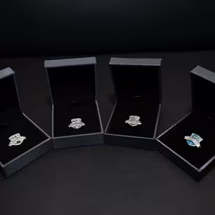 achievers club pins