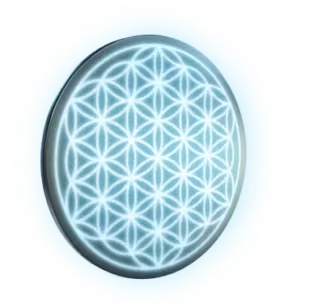 Amezcua flower of life