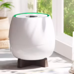 homepure zayn indoor air purifier beside a window