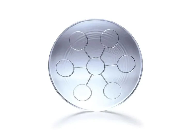 qnet milestone 2006 bio disc